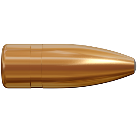Lapua 224 55gr SP Bullets
