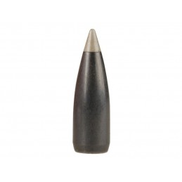 Nosler Ballistic Silvertip Varmint Bullets .243 (6mm) 55 gr BT (100 pack)
