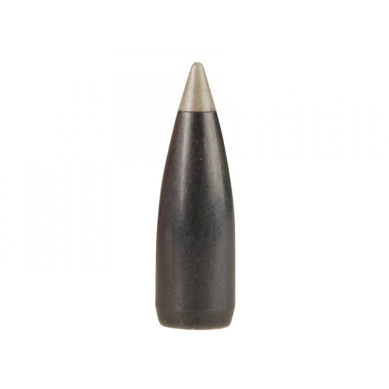 Nosler Ballistic Silvertip Varmint Bullets .243 (6mm) 55 gr BT (100 pack)