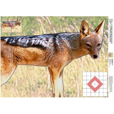 Jackal target