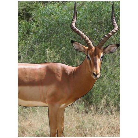 Impala / Rooibok target