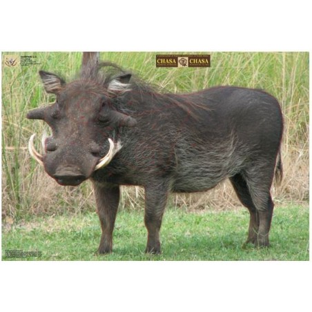 Warthog / Vlakvark target