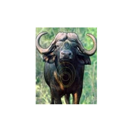 BUFFALOTarget