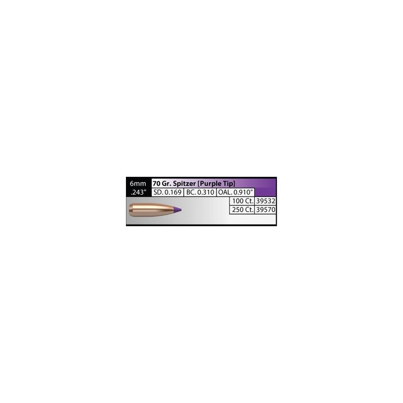 Nosler Ballistic Tip Varmint Bullet 6mm 70 Grain Spitzer (100 pack)