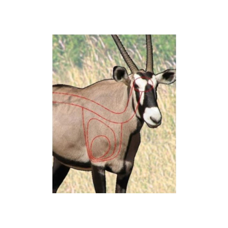 Gemsbok / Oryx Target (Folded)