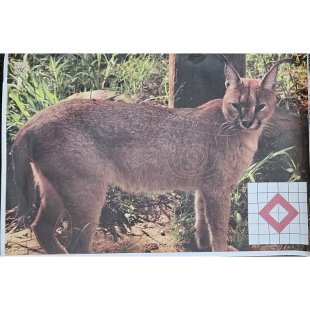 Rooikat \ Caracal Target (Folded)