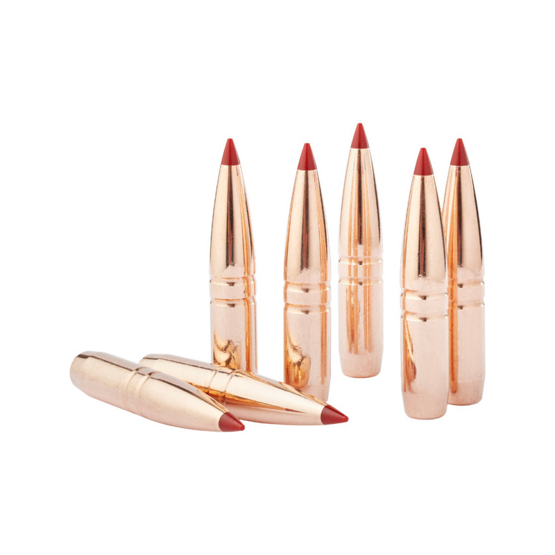 Hornady CX 30 Cal .308 110 (50)