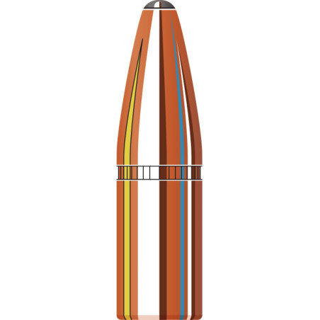 HORNADY 9.3 Cal 286gr InterLock® SP-RP