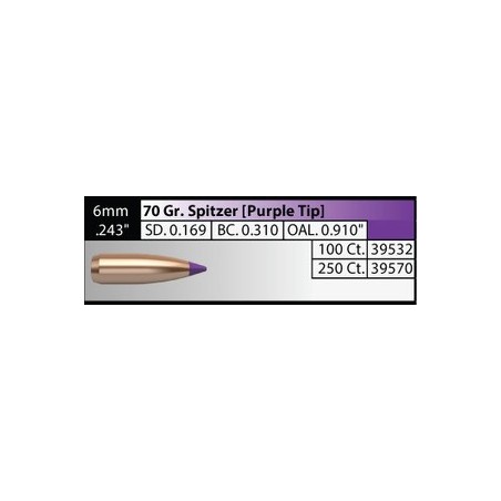 Nosler 70gr Ballistic Tip Hunting Bullets 6mm  (250pack)