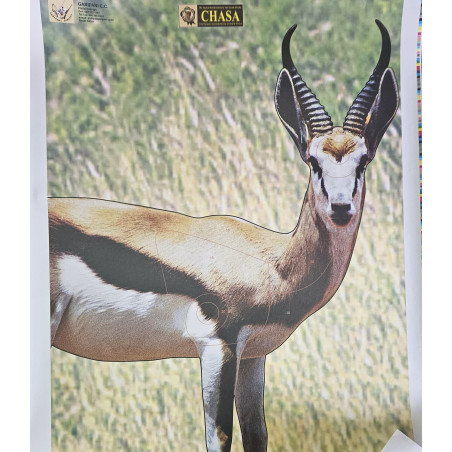 Springbuck target - CHASA (Folded)
