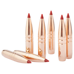 Hornady CX 6mm .243 90gr (50)