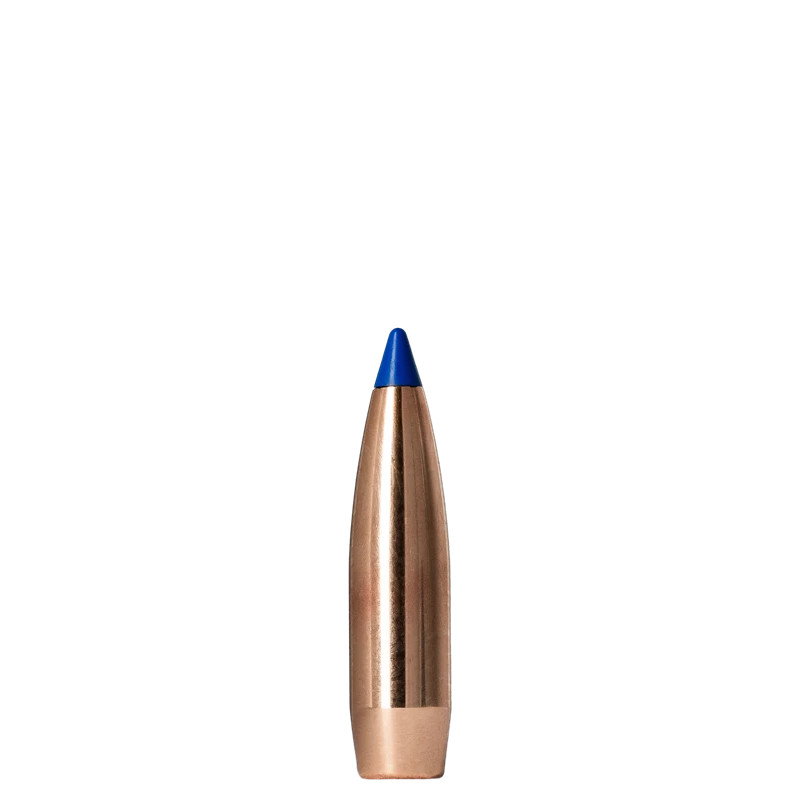 Norma Bondstrike 180gr 30 Ca