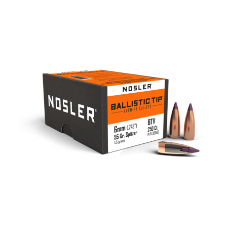 Nosler 6mm 55gr Ballistic Tip Varmint (250ct)