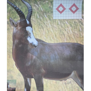 Garipani Blesbok Target | Life-Size Practice Target - 247Hunter.co.za