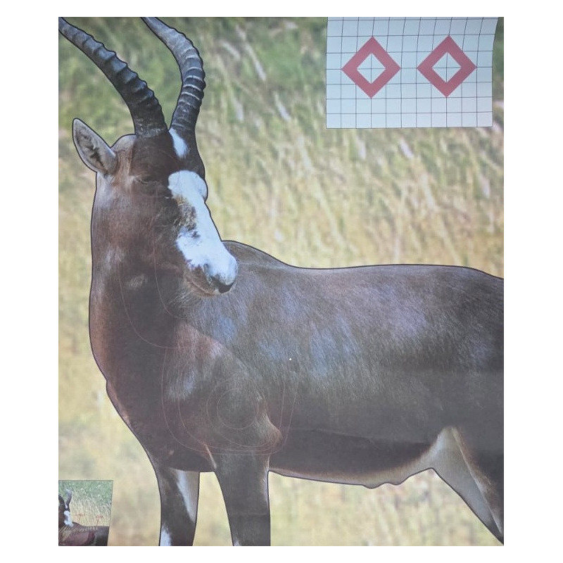 Garipani Blesbok Target | Life-Size Practice Target - 247Hunter.co.za