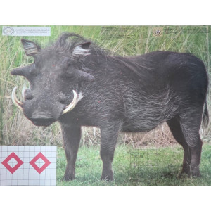 Garipani Vlakvark (Warthog) Target | 247Hunter.co.za