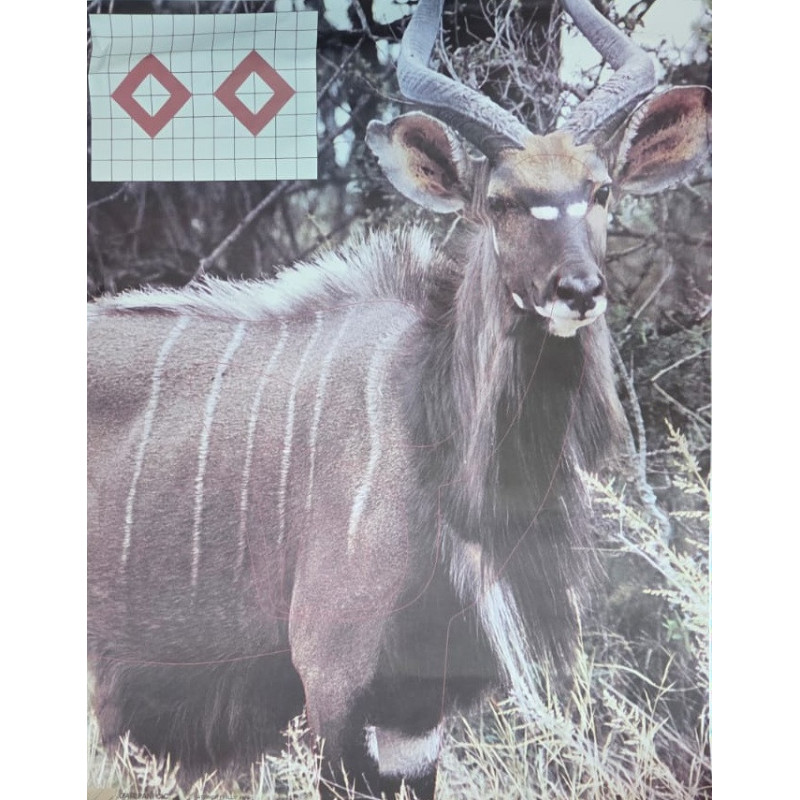 Garipani Nyala Target (Life-Size) | 247Hunter.co.za
