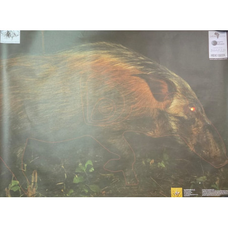 Garipani Bosvark (Warthog) Paper Target | 247Hunter.co.za