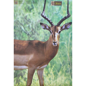 Impala/Rooibok CHASA Target - Garipani Full Colour Paper Target