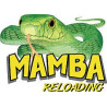 Mamba Reloading